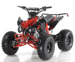 Apollo Motors Blazer 9 DLX | 125cc Automatic ATV | Reverse | CARB Approved