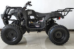 200cc Youth ATV Full-Size | 56L-200