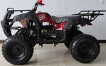 200cc Youth ATV Full-Size | 56L-200