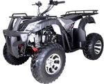 TaoTao BULL 200 169cc ATV