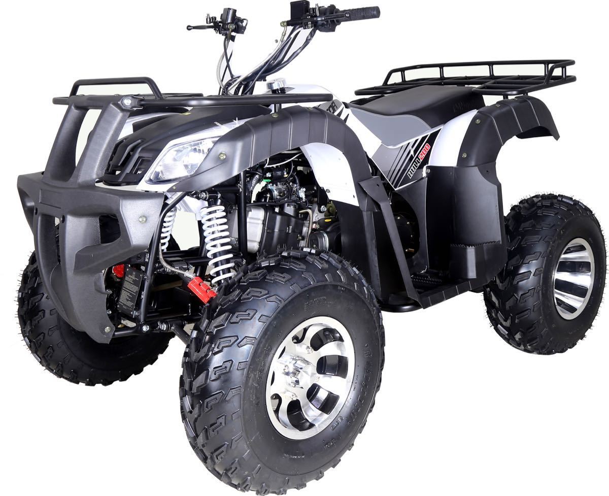 TaoTao BULL 200 169CC, Family-Sized Utility ATV With SAFETY