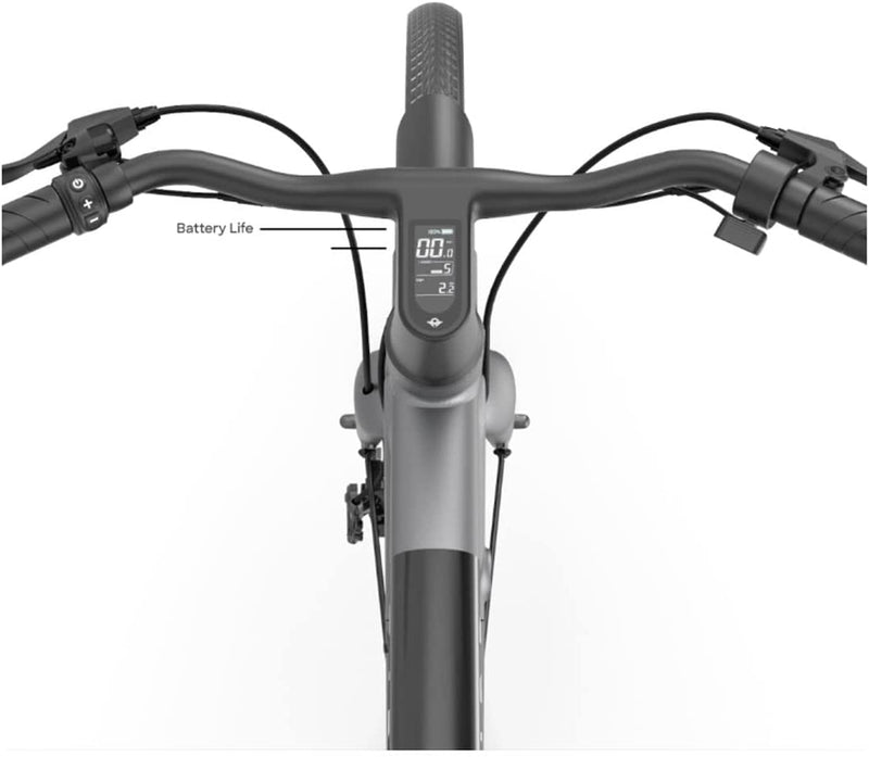 Bird A-Frame eBike | 500W Electric Bicycle | Removable Battery | App Compatible