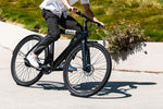 Bird A-Frame eBike | 500W Electric Bicycle | Removable Battery | App Compatible