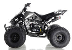 Apollo Motors Blazer 9 DLX | 125cc Automatic ATV | Reverse | CARB Approved