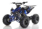 Apollo Motors Blazer 9 DLX | 125cc Automatic ATV | Reverse | CARB Approved