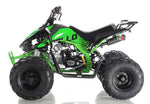Apollo Motors Blazer 9 DLX | 125cc Automatic ATV | Reverse | CARB Approved