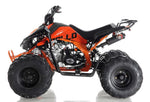 Apollo Motors Blazer 9 | 125cc Automatic ATV | CARB Approved | Reverse
