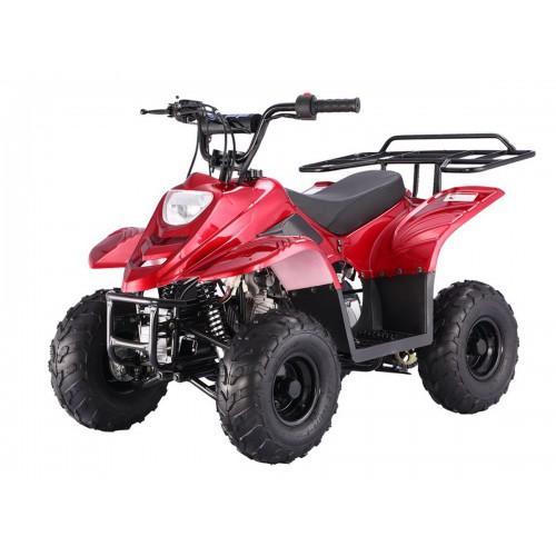 Taotao Boulder-B1 110cc ATV-SPIDER