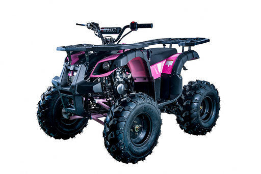 RIDER-10 125cc ATV, SINGLE CYLINDER,4 STROKE ( CARB Approved )