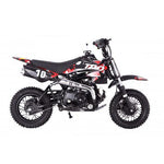 Tao Motor DB10 110cc Automatic Dirt Bike