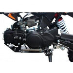 TaoTao DB14 110cc Dirt Bike Semi-Automatic Off-Road