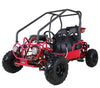TaoTao GK110 125cc Kids / Youth Go-Kart (Automatic with Reverse)