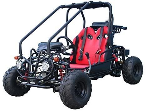 TaoTao GK110 125cc Kids / Youth Go-Kart (Automatic with Reverse)