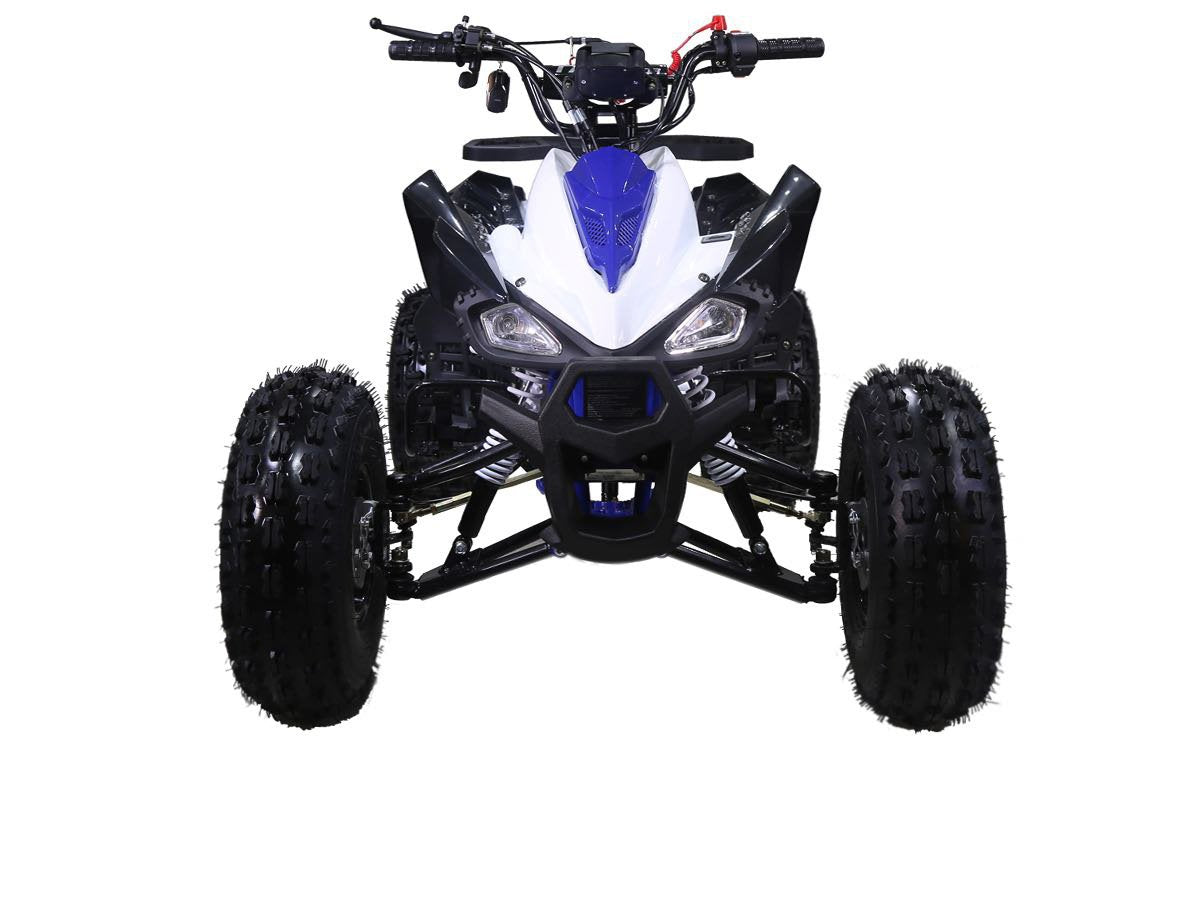 taotao 125cc new Cheetah mid size atv automatic-with-reverse 4-stroke