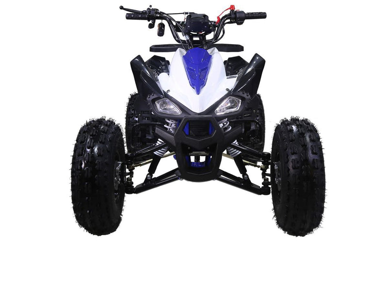 Tao Motor Cheetah 125cc Automatic ATV