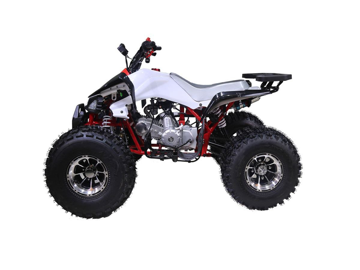 taotao 125cc new Cheetah mid size atv automatic-with-reverse 4-stroke