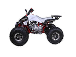 Tao Motor Cheetah 125cc Automatic ATV