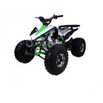 Tao Motor Cheetah 125cc Automatic ATV