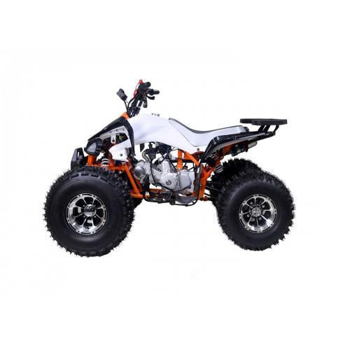 taotao-125cc-new-cheetah-mid-size-atv-automatic-with-reverse-air-cooled-4-stroke-1-cylinder