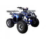 Taotao TForce 125cc Mid Size ATV