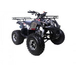 Taotao TForce 125cc Mid Size ATV