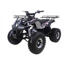 Taotao TForce 125cc Mid Size ATV