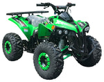 PRO Max 125cc ATV | Fully Automatic with Reverse | CARB Approved