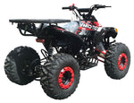 PRO Max 125cc ATV | Fully Automatic with Reverse | CARB Approved