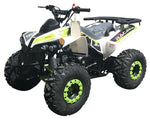 PRO Max 125cc ATV | Fully Automatic with Reverse | CARB Approved