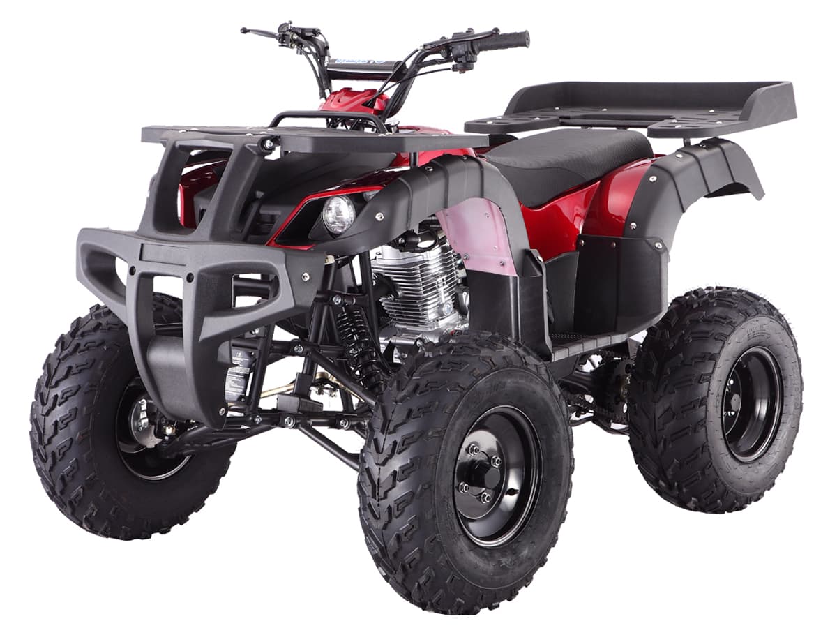 Taotao RHINO-250 196cc Full Size ATV Quad Air Cooled, Manual Clutch