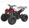 RPS Jet 8 Cheetah 125cc ATV (Automatic with Reverse)