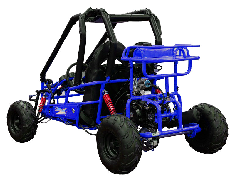 Vitacci Sprint 125cc Go-Kart | Automatic with Reverse | Dual A-Arm Suspension