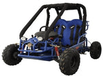 Vitacci Sprint 125cc Go-Kart | Automatic with Reverse | Dual A-Arm Suspension