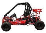 Vitacci Sprint 125cc Go-Kart | Automatic with Reverse | Dual A-Arm Suspension