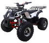 Taotao TForce 125cc Mid Size ATV