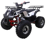 Taotao TForce 125cc Mid Size ATV