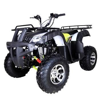 TaoTao BULL 200 169cc ATV