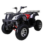 TaoTao BULL 200 169cc ATV