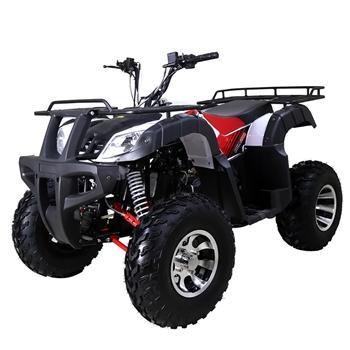 TaoTao BULL 200 169cc ATV