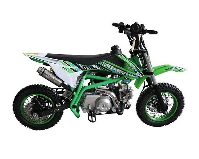 Tao Motor DB20 107cc Automatic Dirt Bike