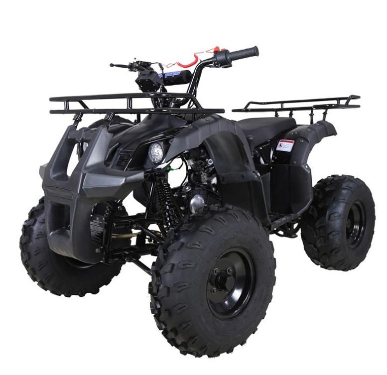 TAO TAO 125cc Utility ATV is Fully Automatic and Reverse, Remote control and Big Alloy Rims and Rugged Tires 19"/18" and Big LED Headlights