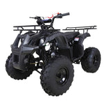 Tao Tao TForce 125cc Utility ATV (Automatic with Reverse)