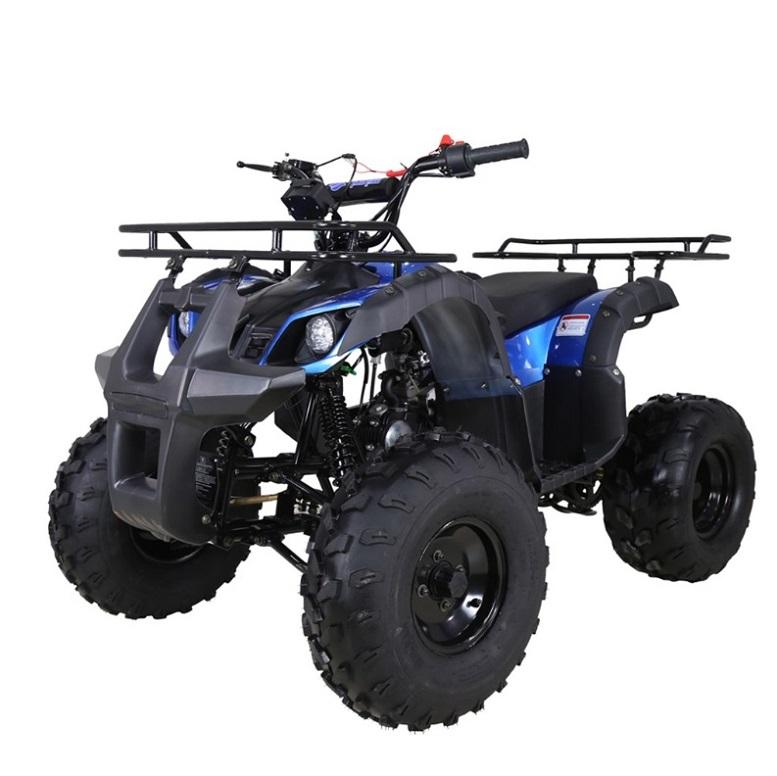 TAO TAO 125cc Utility ATV is Fully Automatic and Reverse, Remote control and Big Alloy Rims and Rugged Tires 19"/18" and Big LED Headlights