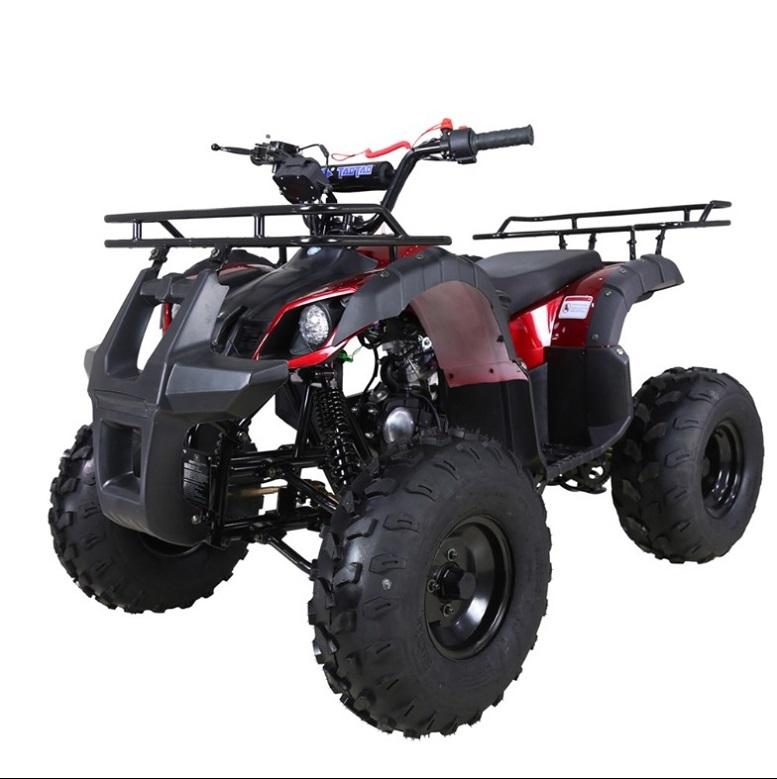TAO TAO 125cc Utility ATV is Fully Automatic and Reverse, Remote control and Big Alloy Rims and Rugged Tires 19"/18" and Big LED Headlights