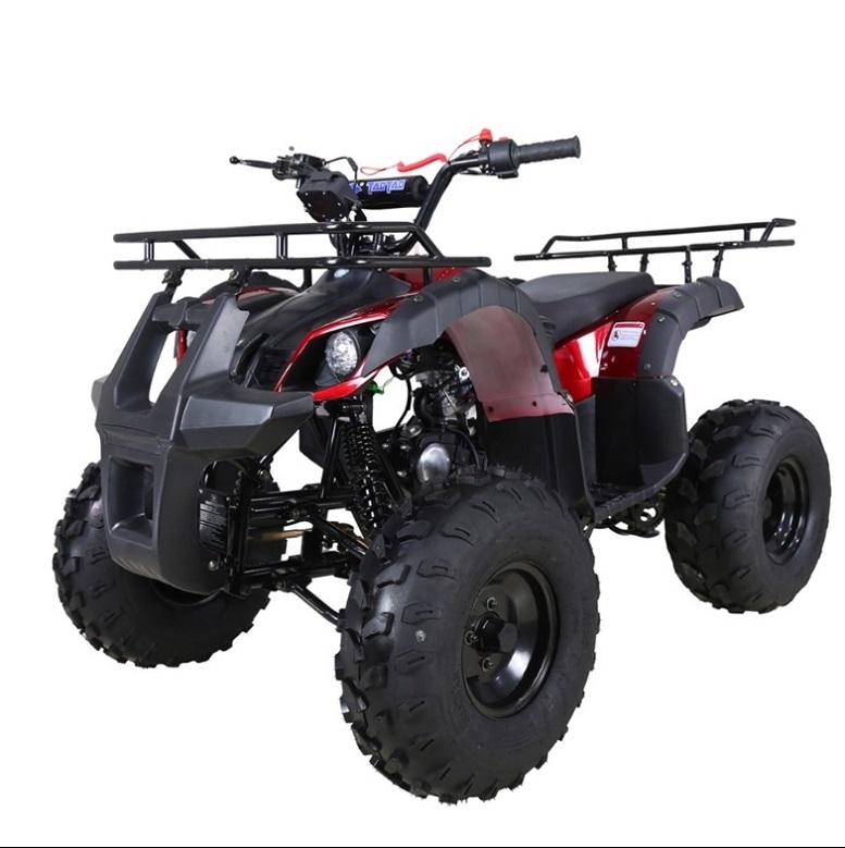 Tao Tao TForce 125cc Utility ATV (Automatic with Reverse)