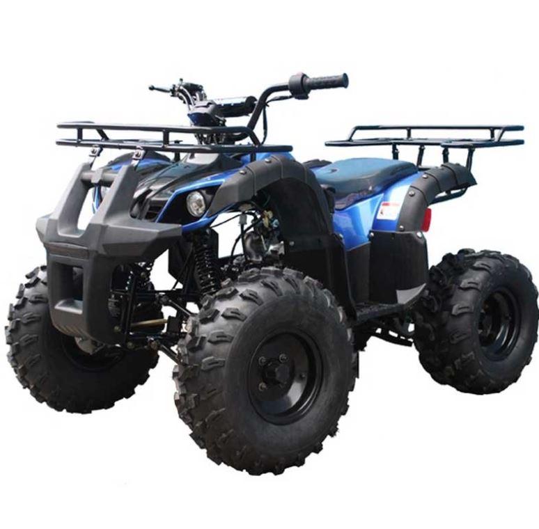 TAO TAO 125cc Utility ATV is Fully Automatic and Reverse, Remote control and Big Alloy Rims and Rugged Tires 19"/18" and Big LED Headlights