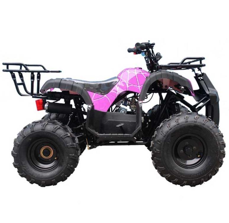 Tao Tao TForce 125cc Utility ATV (Automatic with Reverse)