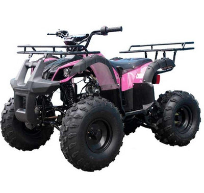 Tao Tao TForce 125cc Utility ATV (Automatic with Reverse)