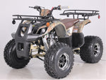 Taotao T-Force Platinum 120cc Youth ATV | Automatic with Reverse | New Design Quad