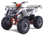 Taotao T-Force Platinum 120cc Youth ATV | Automatic with Reverse | New Design Quad